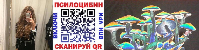 Псилоцибиновые грибы Psilocybe  как найти   Лихославль 